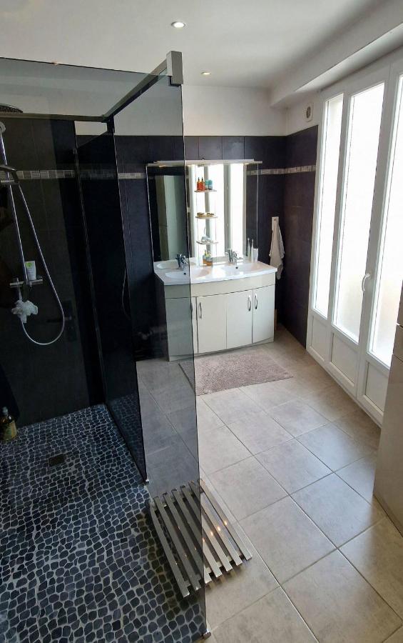 Tres Grand Appartement Lumineux 尼斯 外观 照片
