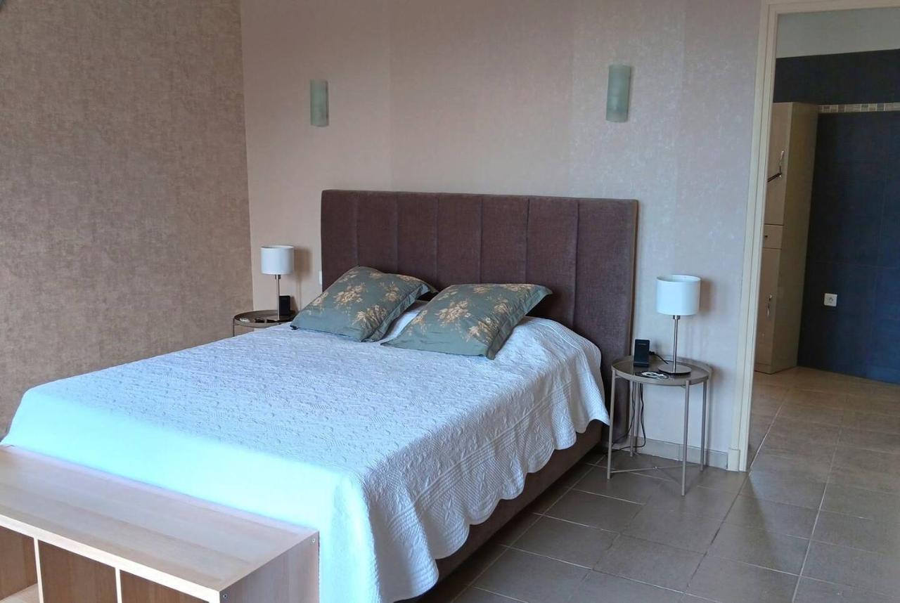 Tres Grand Appartement Lumineux 尼斯 外观 照片