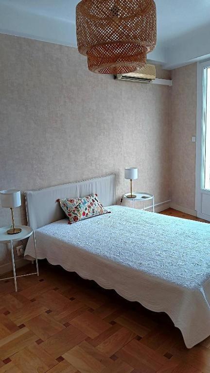 Tres Grand Appartement Lumineux 尼斯 外观 照片